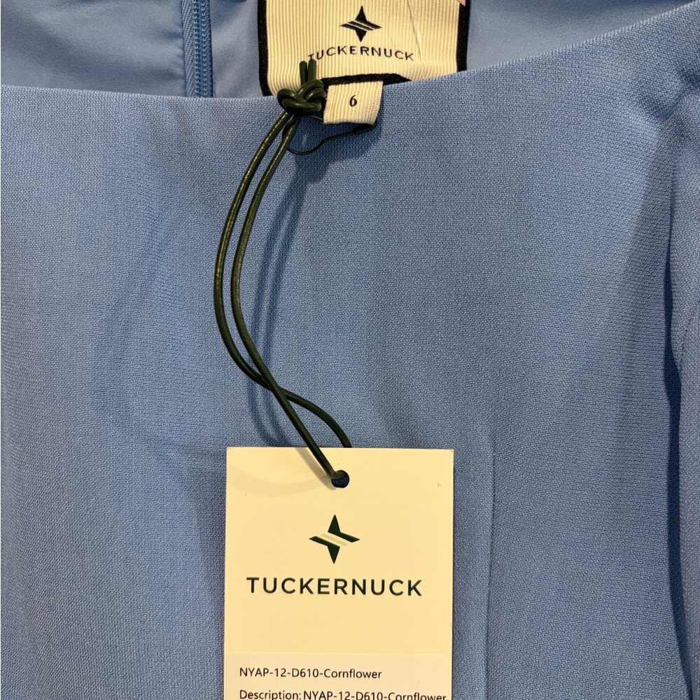 Tuckernuck Blakely Long sleeve Mini Dress Cornflower Blue Size 6 NWT - Picture 4 of 5